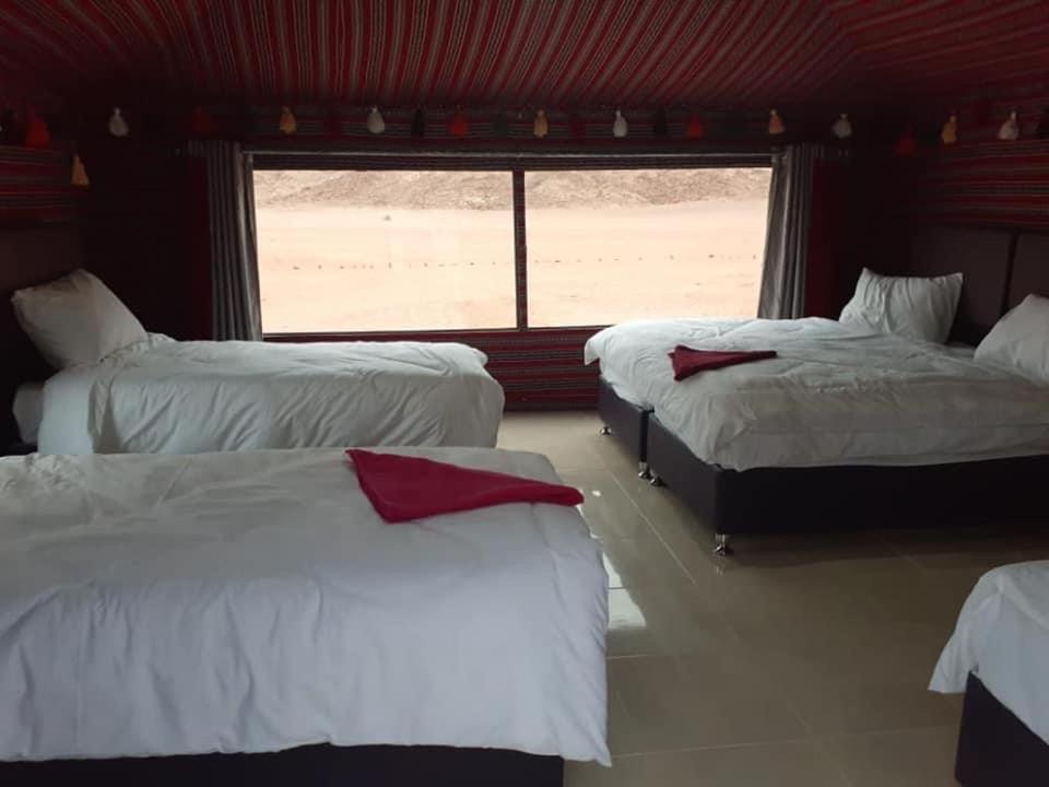 Black Irish Camp And Tours Hotel Wadi Rum Ngoại thất bức ảnh