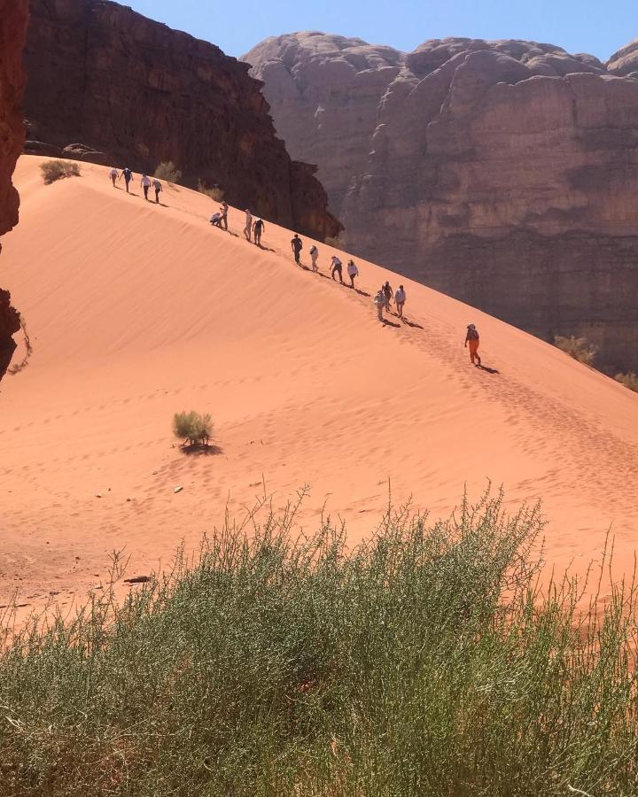 Black Irish Camp And Tours Wadi Rum Ngoại thất bức ảnh