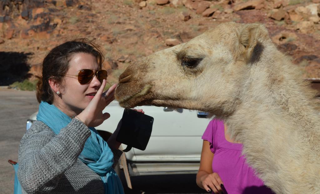 Black Irish Camp And Tours Wadi Rum Ngoại thất bức ảnh